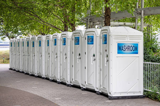 Best Affordable portable toilet rental  in Downs, IL