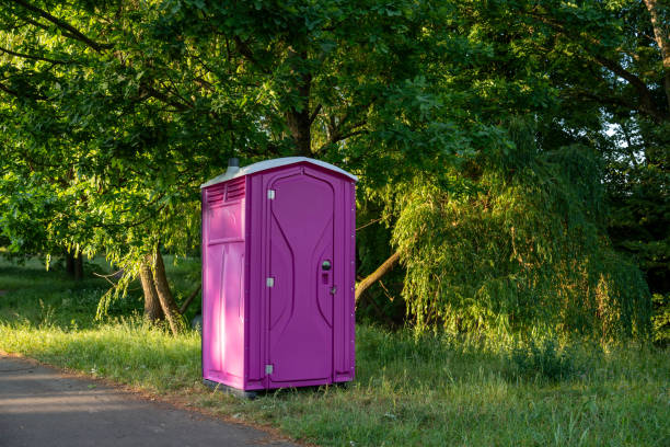 Best Porta potty rental for parties  in Downs, IL